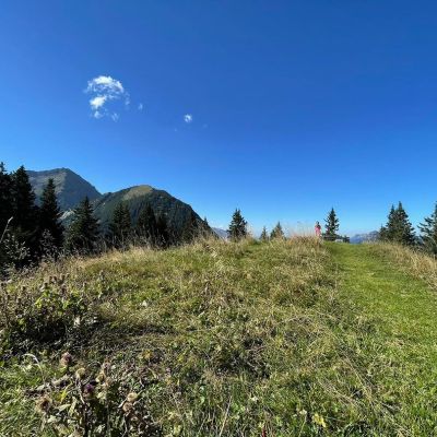 Wundervoller Ausblick auf dem Weg zum Almkopf. #ferien #urlaub #ruhe #erholung #slowdown #auszeit #discoverearth #loveto...